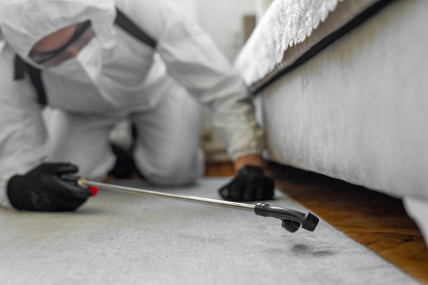 Professional Termite Control technician working in Douglas, AZ